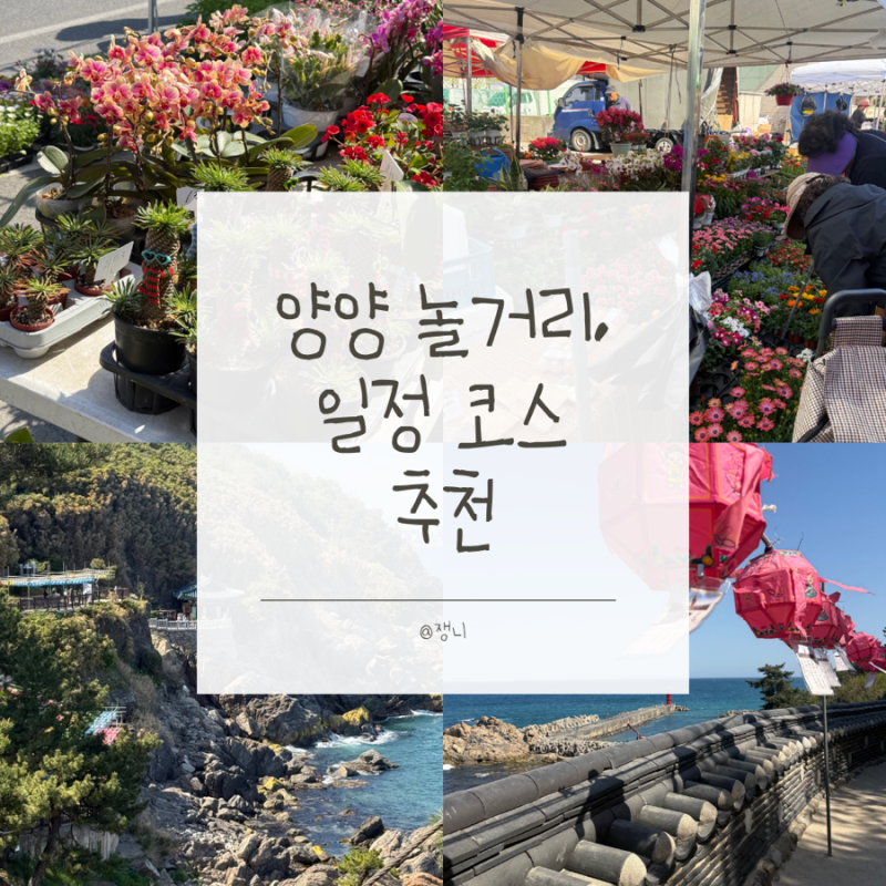 [양양]당일치기 및 1박2일 놀거리 코스 추천(낙산사, 양양시장 5일장)