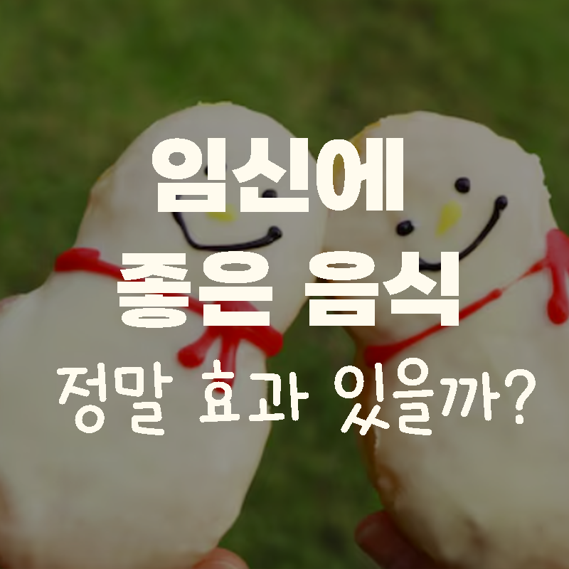 임신에 좋은 음식, 추어탕 포도즙 흑염소즙 두유 효과 있을까?
