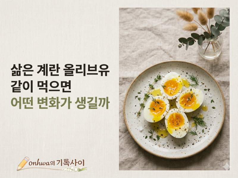 삶은 계란 올리브유 같이 먹으면 어떤 변화가 생길까
