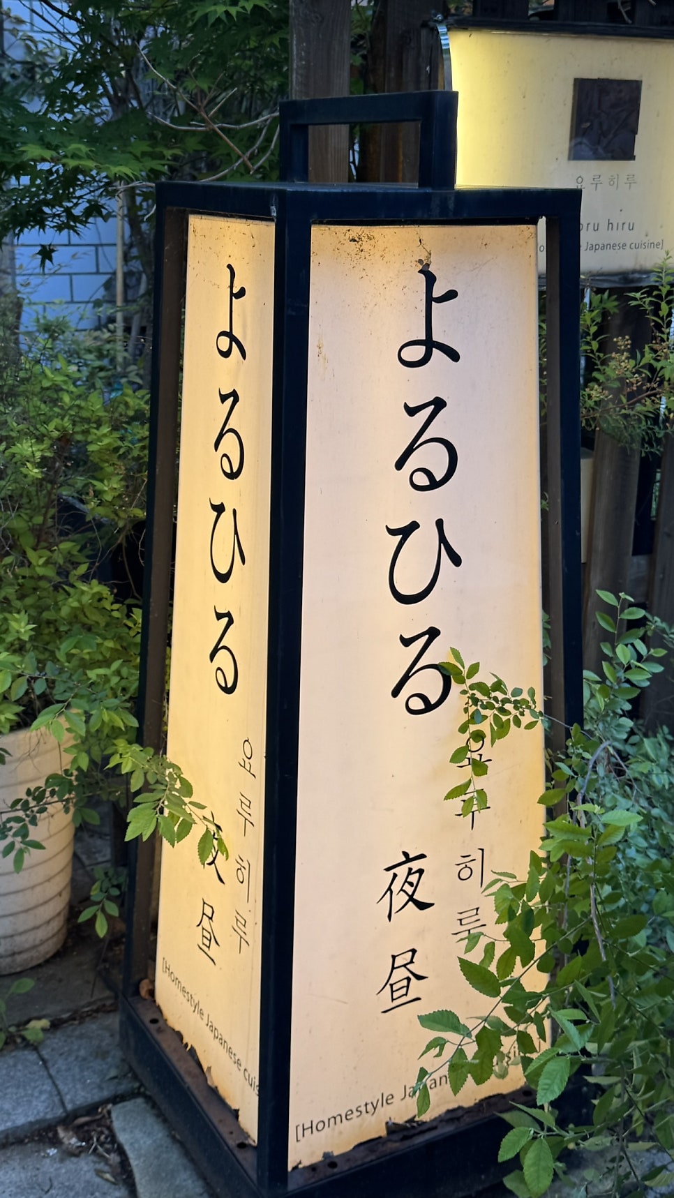 요루히루 사진 1