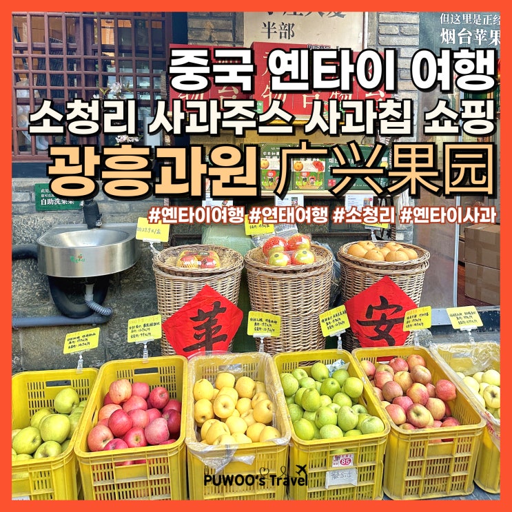  중국 옌타이 연태 여행 필수코스 소청리 사과주스 맛집 사과칩 쇼핑 광흥과원
