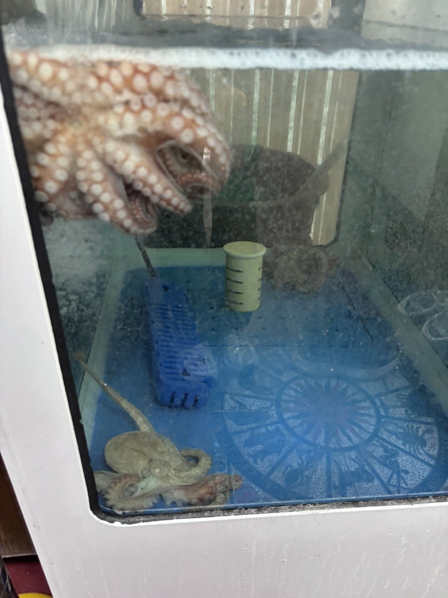 두메산골 사진 3