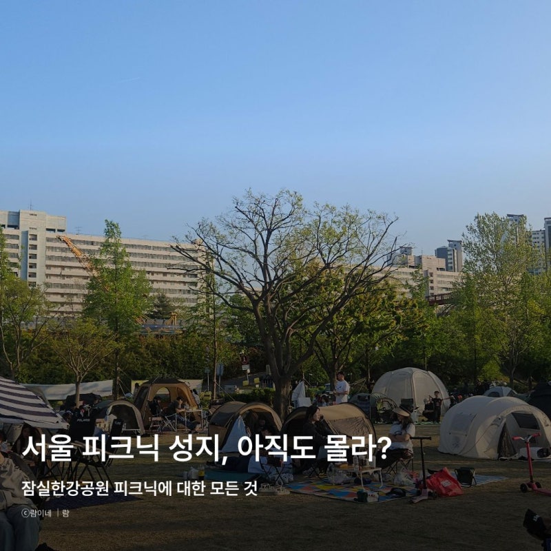 잠실 한강 공원 피크닉 돗자리 텐트존 주차장 배달존 라면 위치
