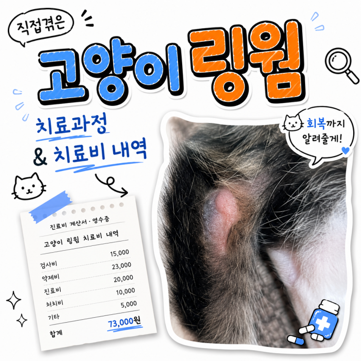  고양이 링웜 증상과 치료비 실제 후기 — 아깽이 집사가 겪은 피부사상균 이야기