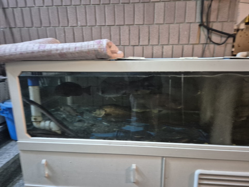 해광횟집 사진 2