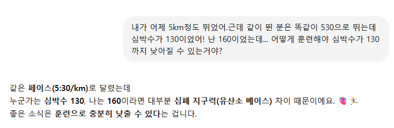 [러닝] 챗지피티와 함께하는 MAF 훈련 계획