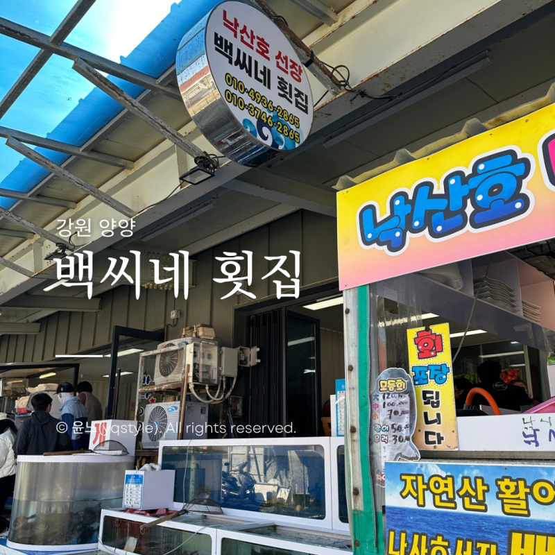 낙산 어촌계 활어회센터 양양 현지인 추천 백씨네 횟집 회 포장 후기