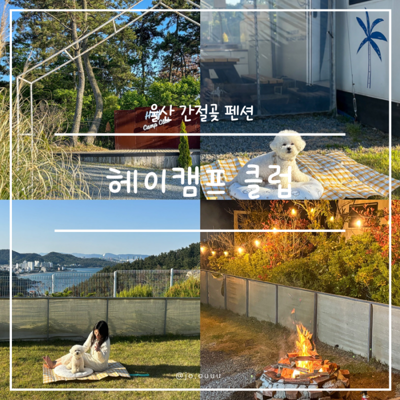 울산 간절곶 펜션 헤이메르/헤이캠프 클럽 부산근교 애견동반 카라반 오션뷰 캠핑장