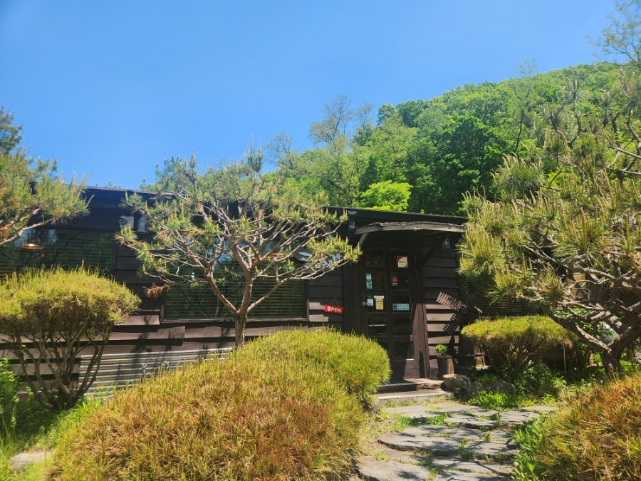 태화산곤드레 사진 1