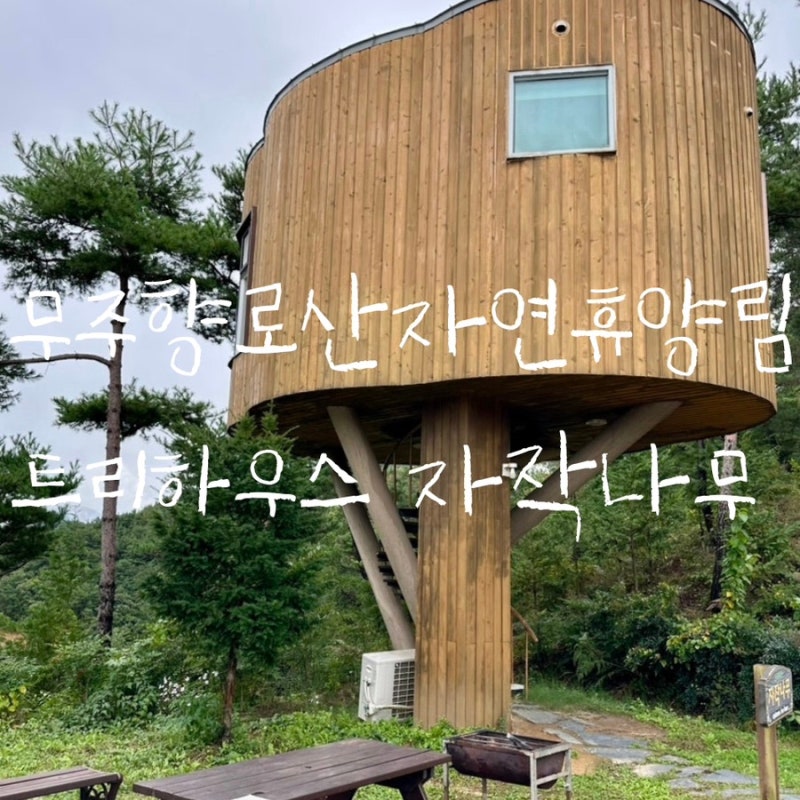 [전북 무주 향로산자연휴양림/트리하우스 자작나무] 일출부터 별까지 완벽한 뷰의 하루 • ....