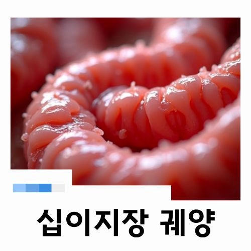 명치통증 계속 된다면? 십이지장궤양 증상