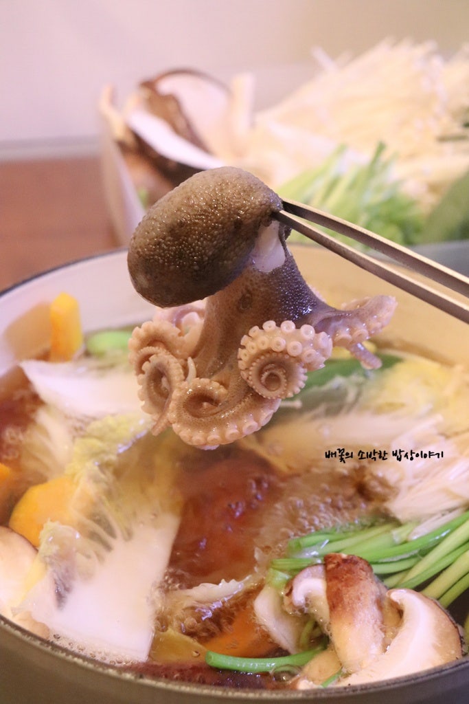 쭈꾸미 샤브샤브 만들기 육수 레시피 알쭈꾸미 맛보기