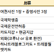 체코 오스트라바 교환학생 준비물 엑셀 체크리스트 *실시간 댓글 Q&A 가능