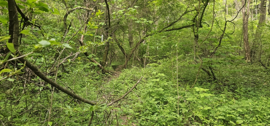 가성산 사진 6