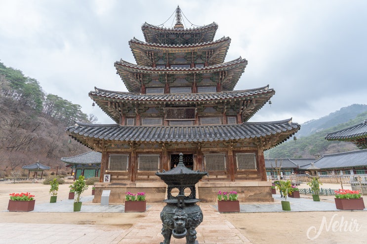 충북 보은 가볼만한곳 속리산 법주사 세조길