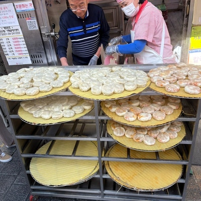  20260509 - 만두 배달 라이딩