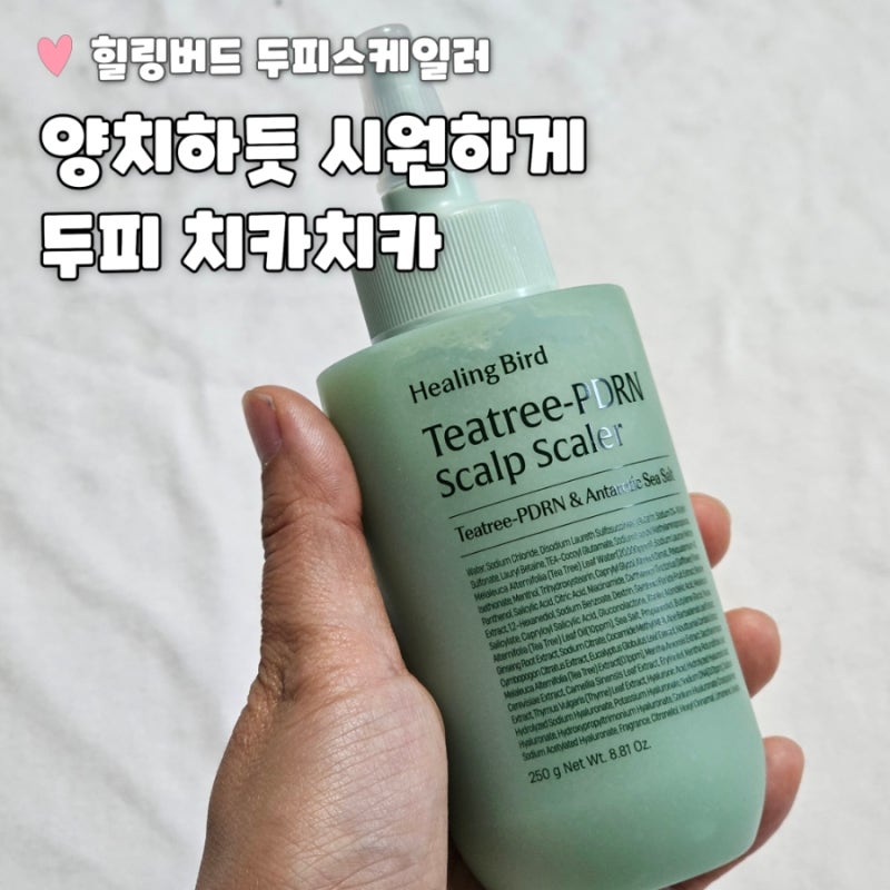 인씨x힐링버드 티트리PDRN 두피스케일러 추천｜정수리냄새·두피각질 잡는 두피쿨링 홈케어