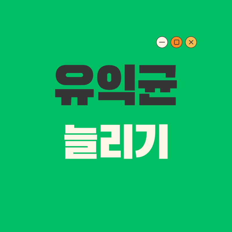 프리바이오틱스 추천 찾는 분께 프락토올리고당과 유산균 이렇게 연결됩니다