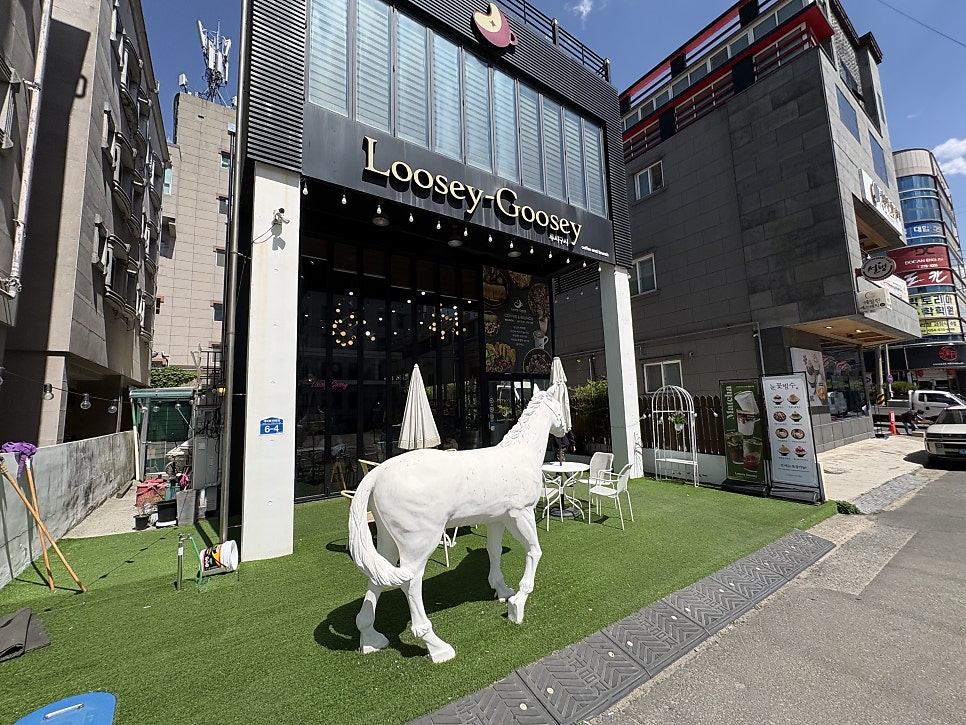 루시구시 사진 2