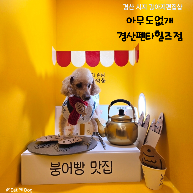 [경산 24시애견용품점 / 시지 강아지 간식 고양이수제케이크] 아무도없개 경산펜타힐즈점