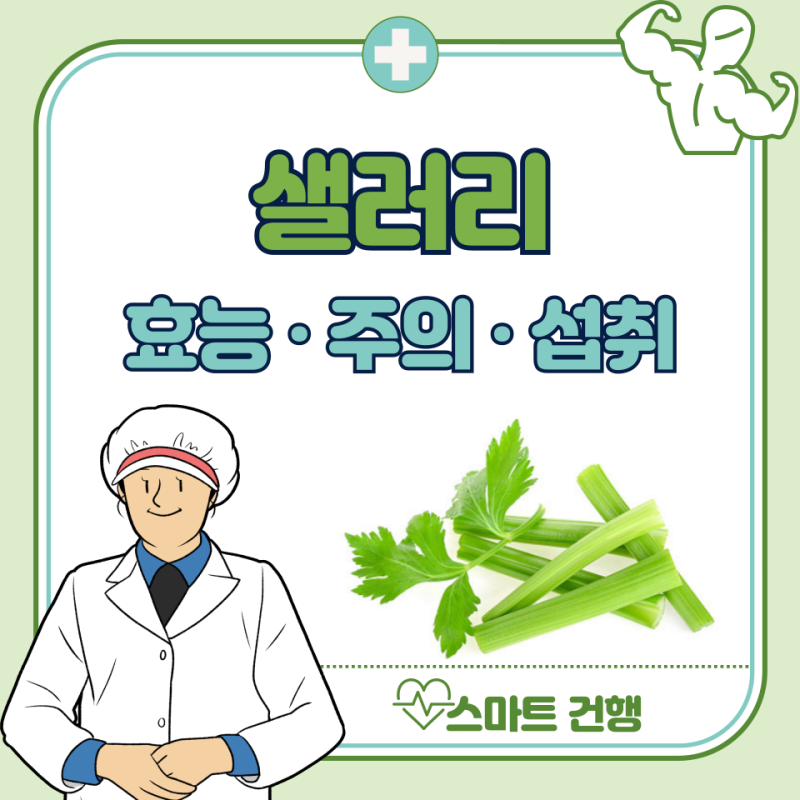 샐러리 효능 5가지와 부작용, 샐러리 잎 먹는법도 알아보세요