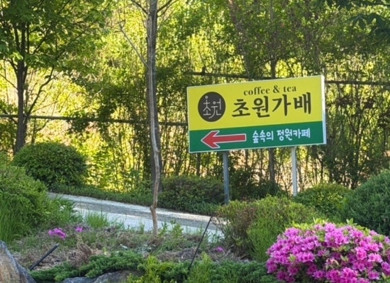 초원가배 사진 1