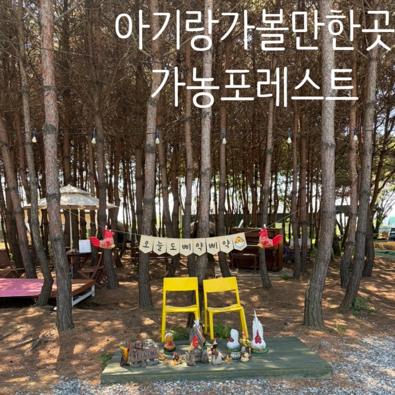 [가농포레스트]김포아기랑가볼만한곳 김포농촌체험 김포농가체험 김포포레스트 김포숲체험....