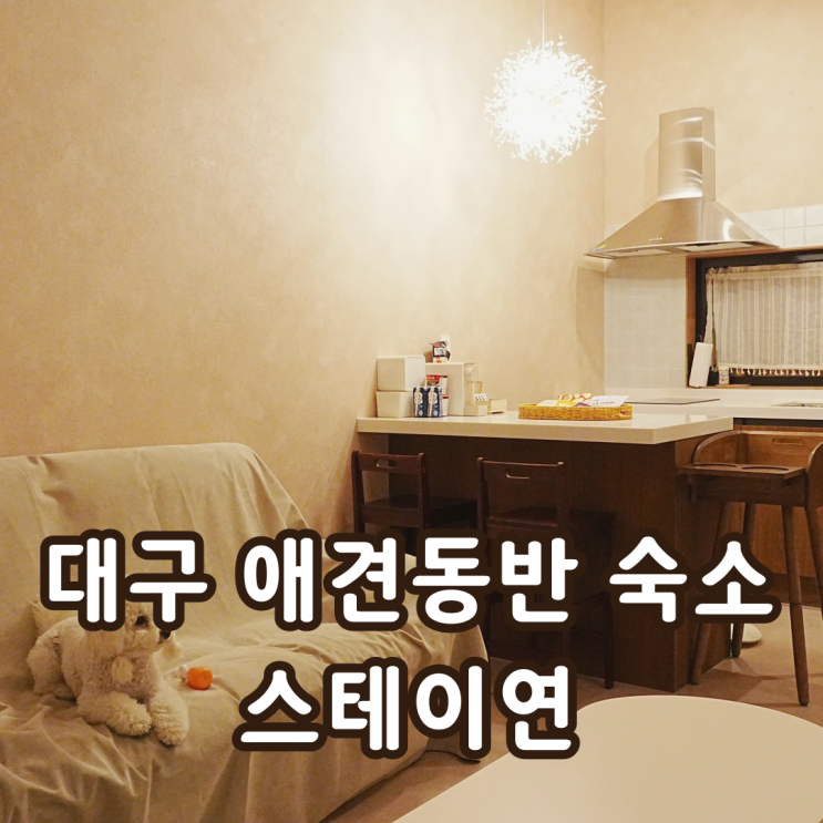  대구 애견동반 숙소 스테이연 감성 독채 펜션