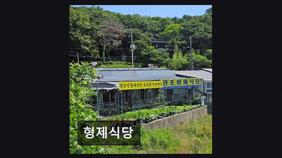 형제식당 사진 3