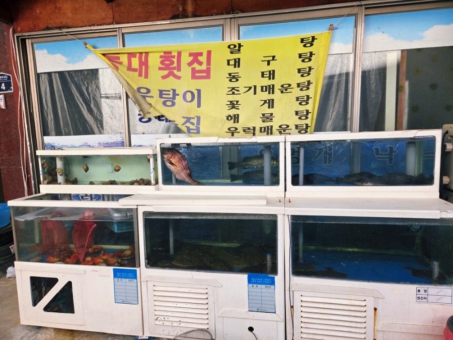 등대횟집 사진 2