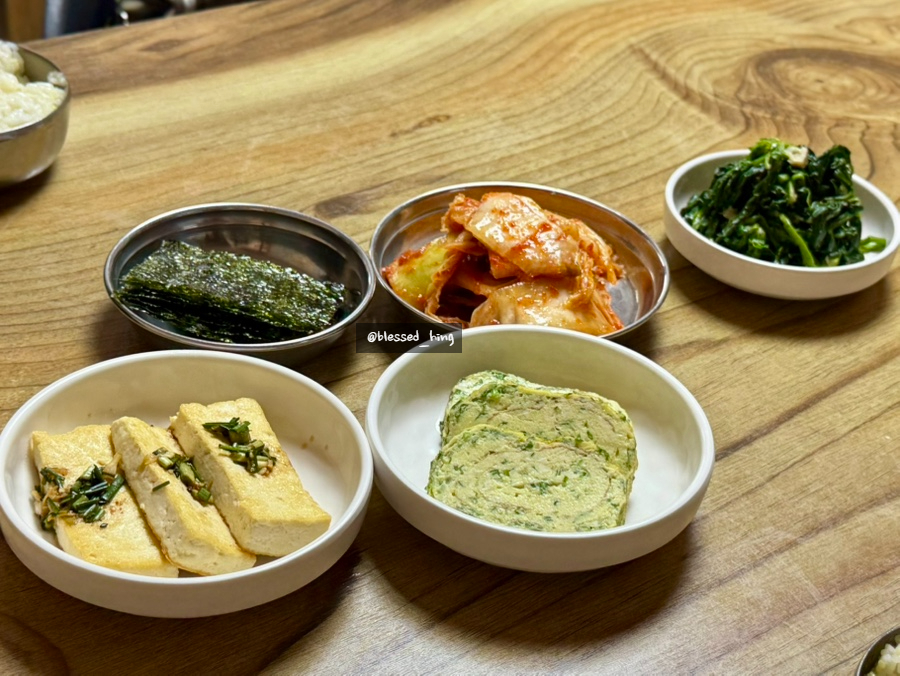 우리집콩마니 사진 6