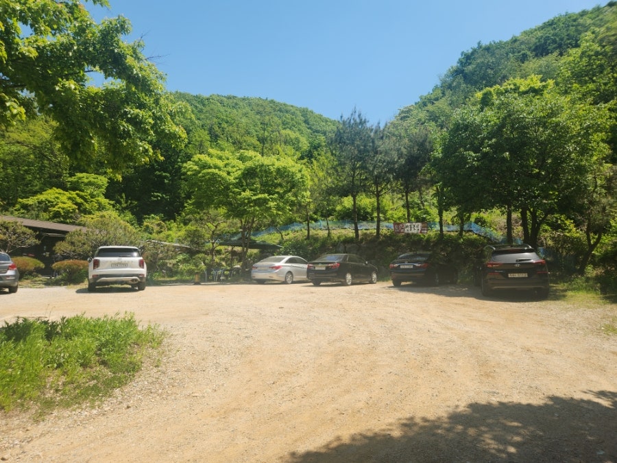 태화산곤드레 사진 3