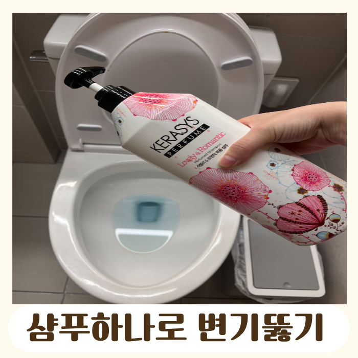 변기뚫는법, 뚫어뻥 없을때 샴푸 하나로 해결?