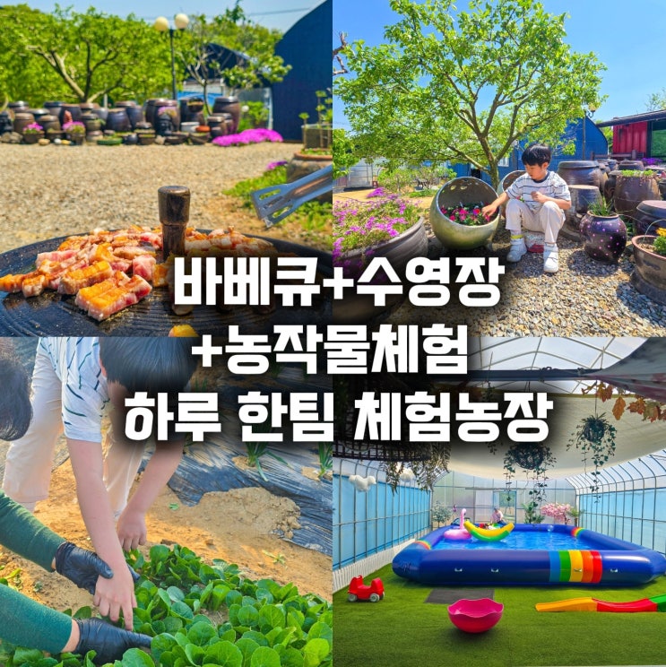  경기도 연천가볼만한곳 수농원 바베큐 수영장 체험농장