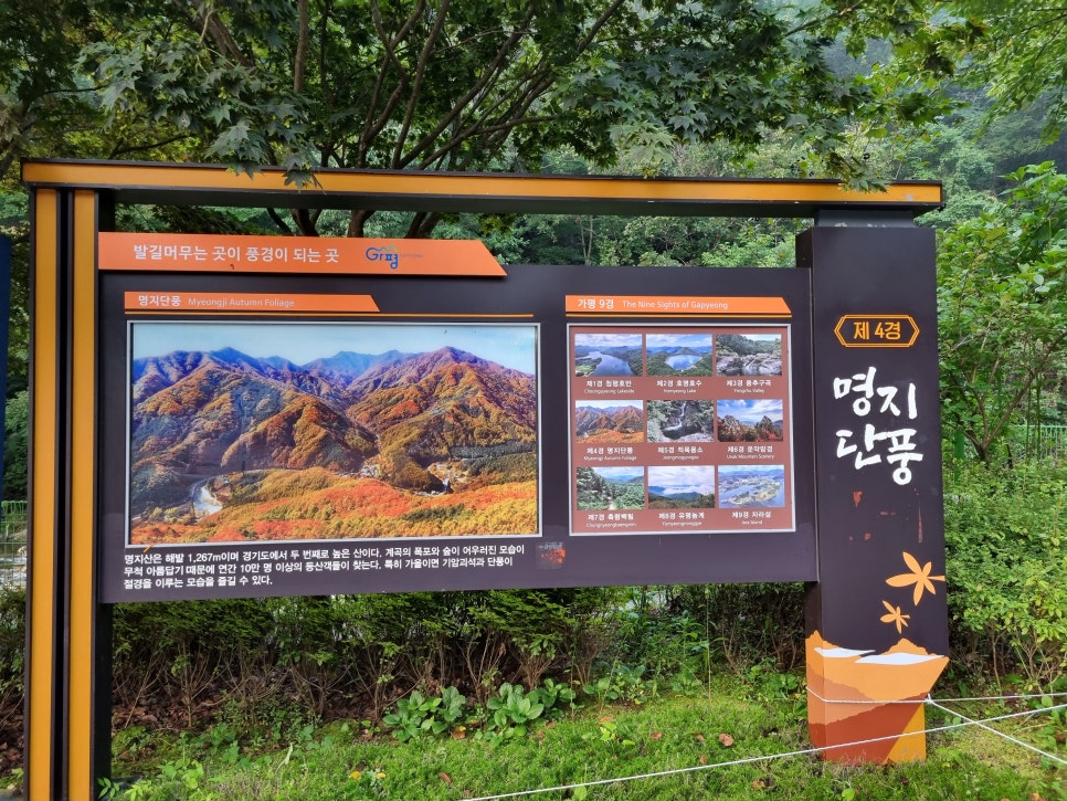 금자네식당 사진 3