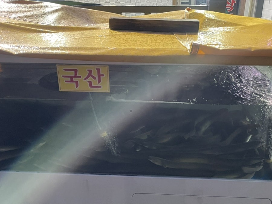 개봉풍천민물장어 사진 3