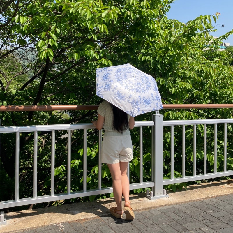 초경량 예쁜 양산 찾는다면! 로라애슐리 :: 양우산 기능에 자외선 차단까지 굿