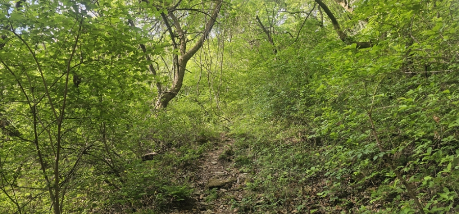 가성산 사진 5