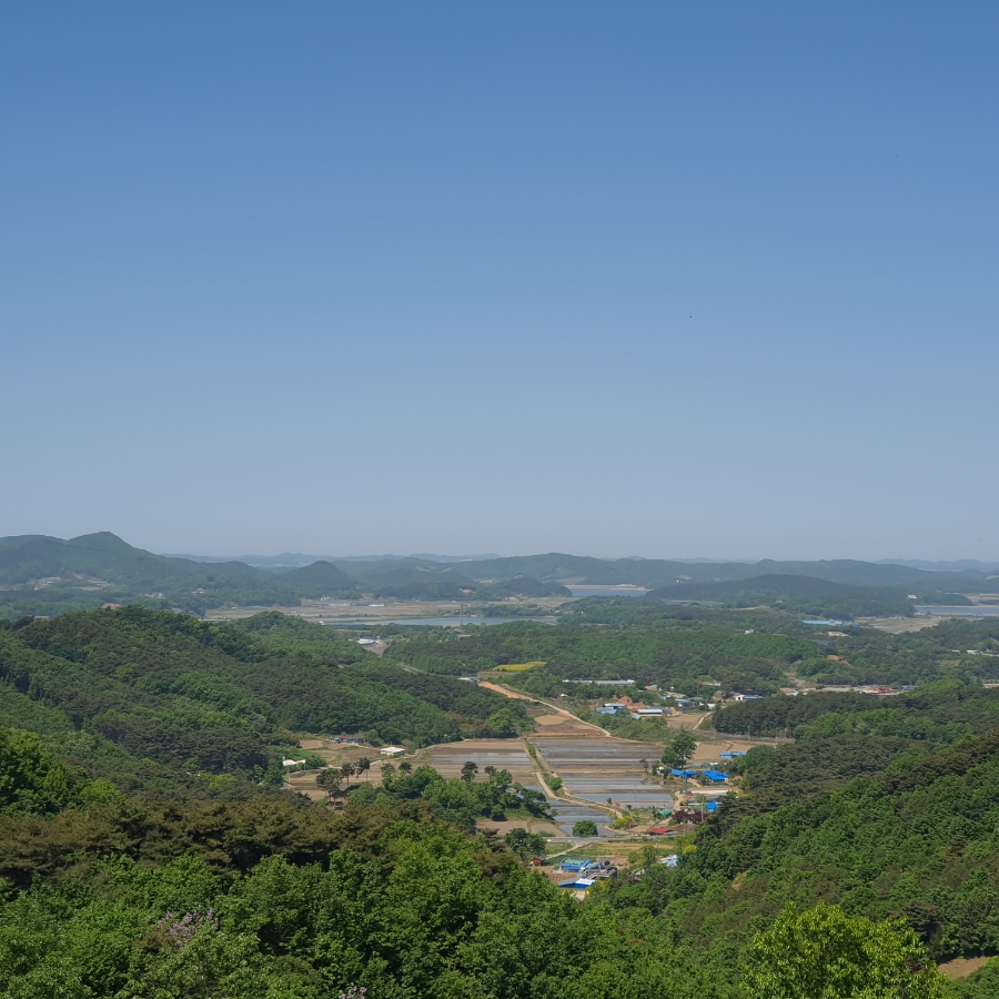 오서산억새촌식당 사진 6
