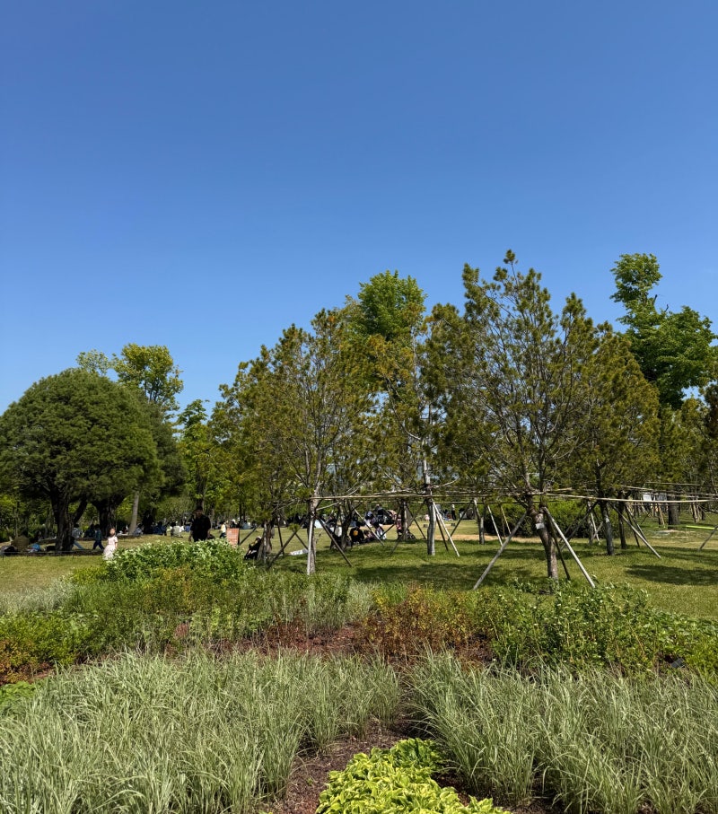[마곡] 서울식물원 잔디밭 피크닉  + 모래 놀이터 ⭐⭐️