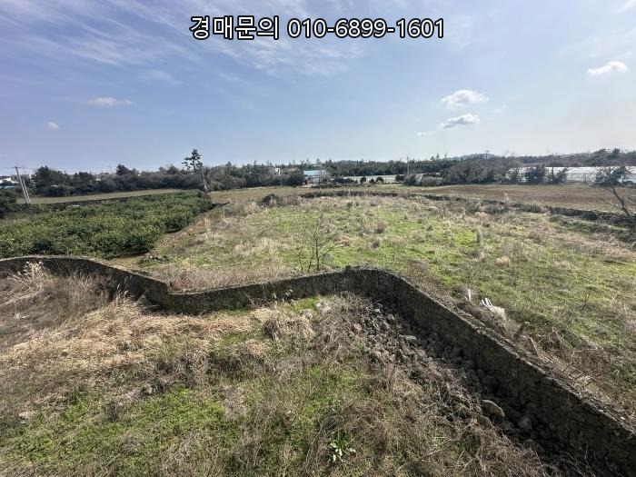  제주특별자치도 제주시 한경면 청수리 2229 대규모 토지 및 신축 중 주택 부지, 절호의 투자 기회 법원 경매 물건 2024-22506