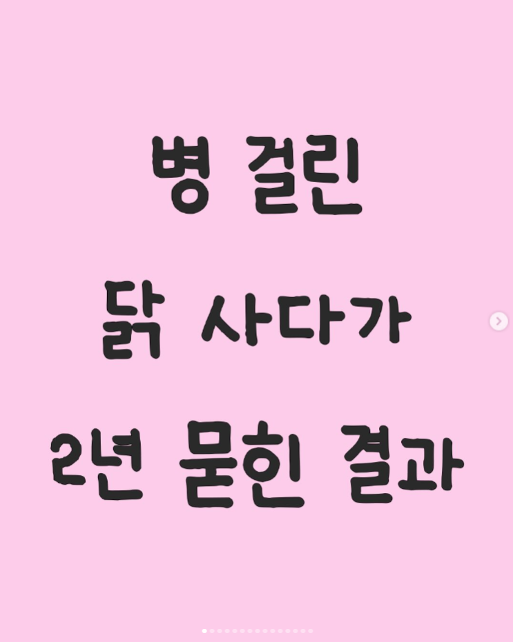  폐계닭 구출 후 자연방생