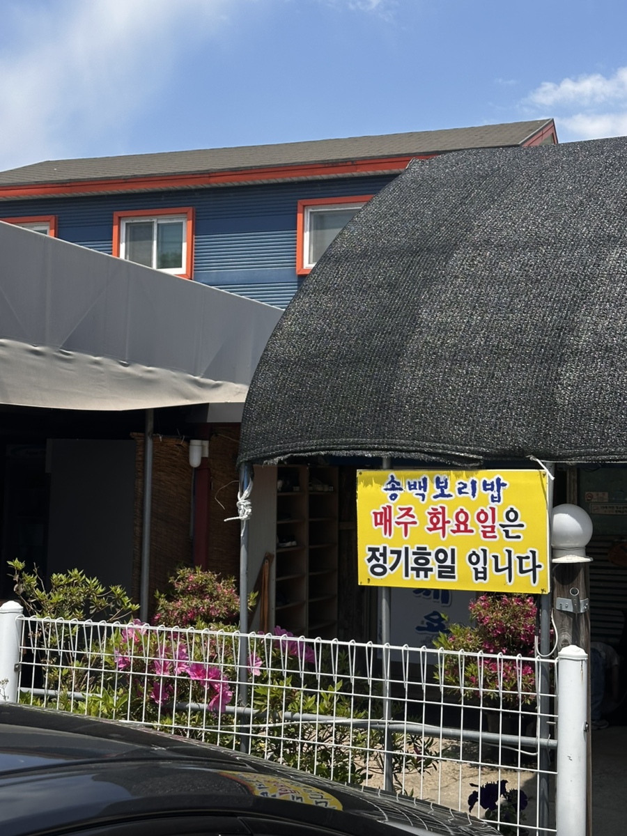 송백보리밥 사진 2