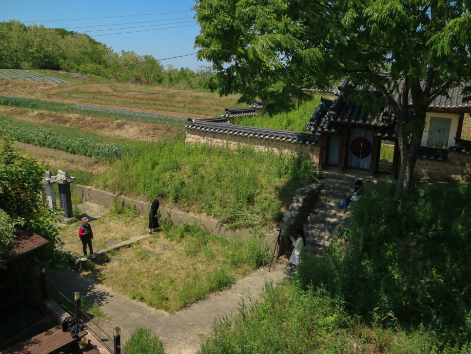 비비정청춘 사진 4