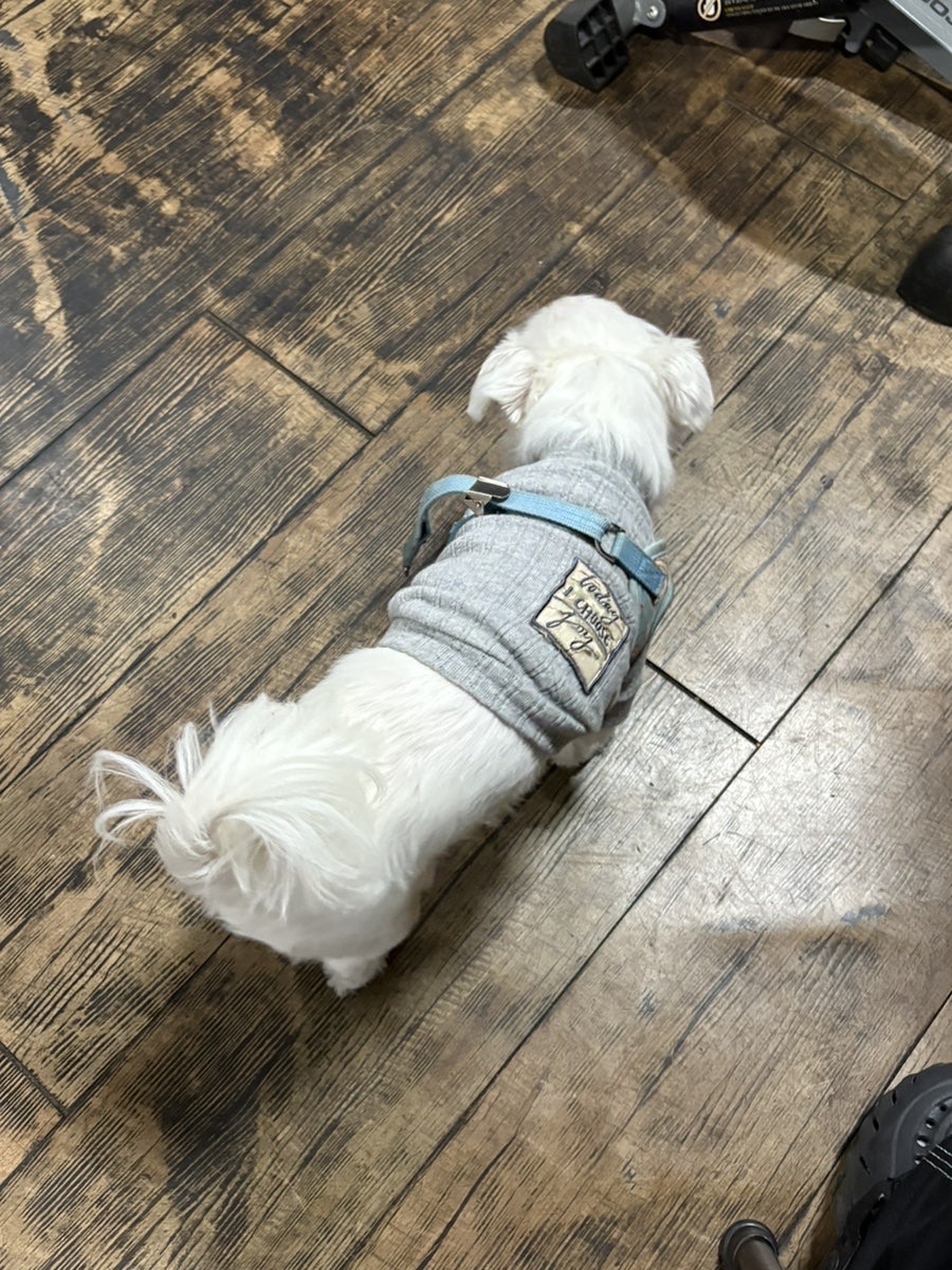 상무네닭발집 성대점 사진 6
