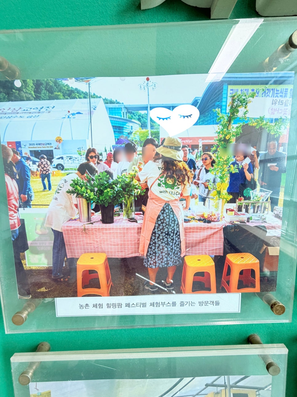 리리플라워 사진 3