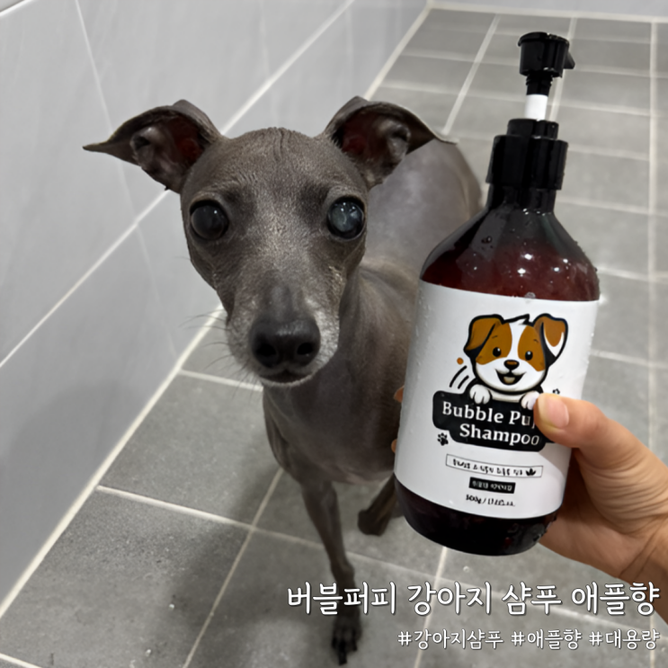  다견가정 대용량 강아지샴푸 추천! 버블퍼피 강아지 샴푸 애플향 만족 후기