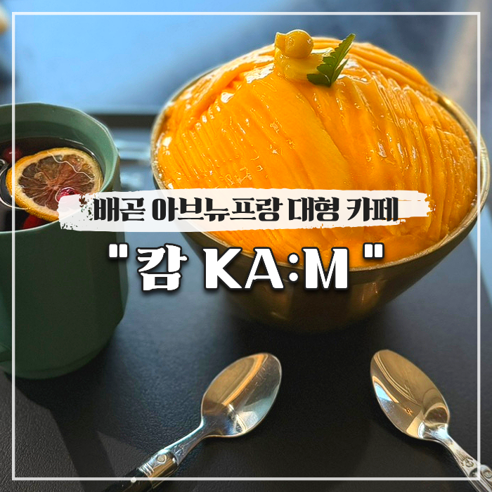  배곧 아브뉴프랑 대형 카페 캄 망고빙수 맛집