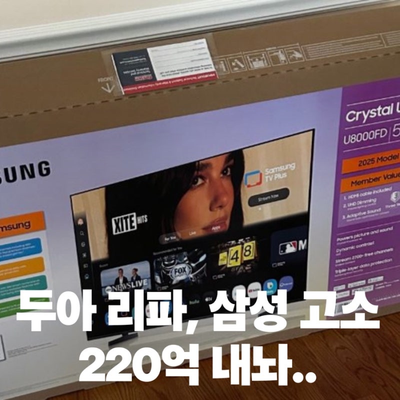 (아니.. 이게 실화야?) 팝스타 두아 리파, 삼성전자 220억 고소 사건의 전말