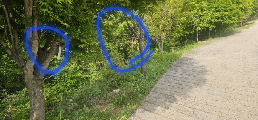 가성산 사진 3